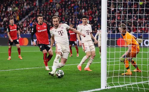 Bet Champions: Ultimate Betting Guide